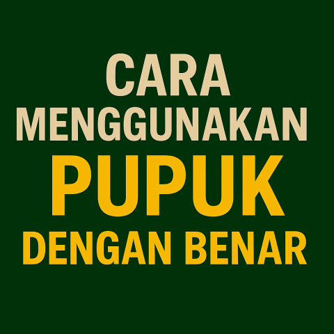 Cara Menggunakan Pupuk Agrosawit dengan Benar